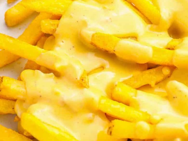 Double Cheese Loaded Fries